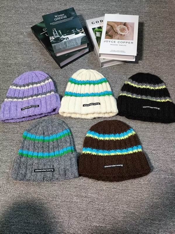 Alexander Wang hat dx04